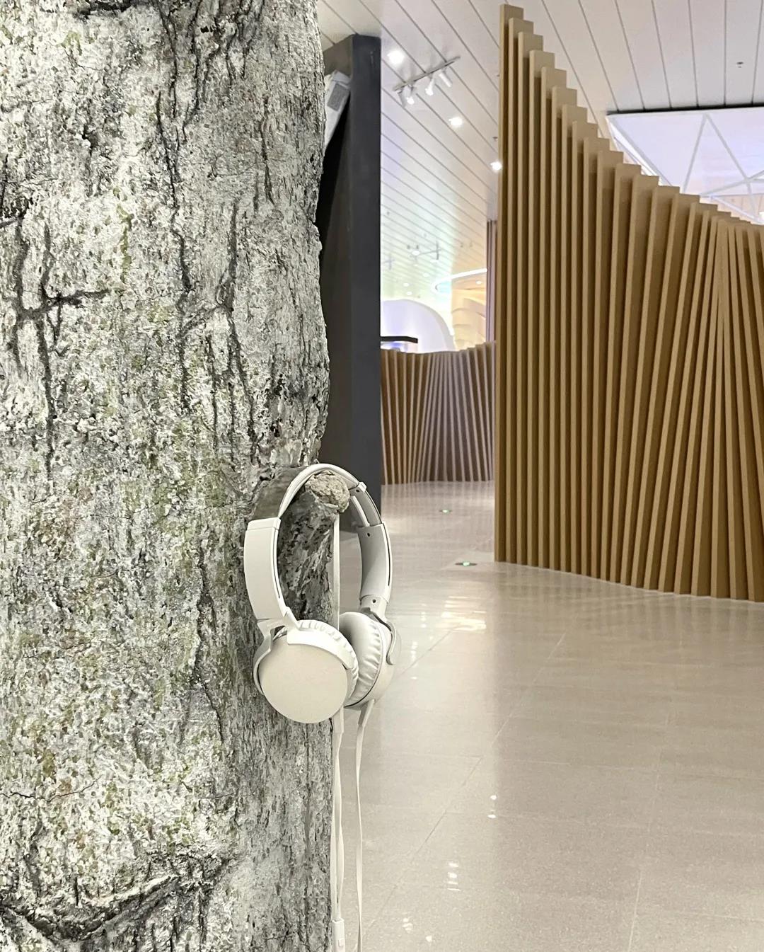 巖星特刊 | “疫苗博物館”,透過歷史切片見證偉大事業(yè)插圖(6) 巖星特刊 | “疫苗博物館”,透過歷史切片見證偉大事業(yè)插圖(6)